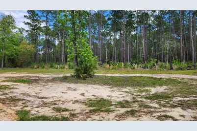 3002 W State Highway 20, Freeport, FL 32439 - Photo 24
