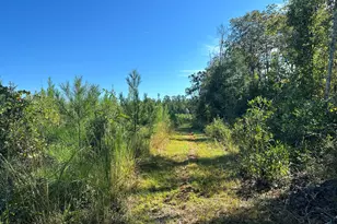 Parcel L Buck Tyner Rd, Laurel Hill, FL 32567 - Photo 1