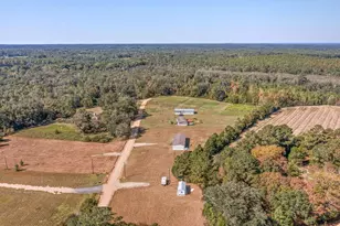3139 Creek Rd, Bonifay, FL 32425 - Photo 38