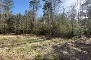 0 Native Creek Rd, Milton, FL 32571 - Photo 1