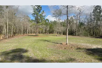 00 Native Creek Road, Milton, FL 32571 - Photo 4