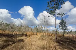 00 Native Creek Rd, Milton, FL 32571 - Photo 1