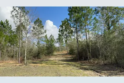 00 Native Creek Road, Milton, FL 32571 - Photo 12