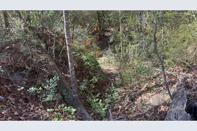 000 Native Creek Road, Milton, FL 32571 - Photo 10