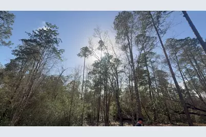 000 Native Creek Road, Milton, FL 32571 - Photo 2