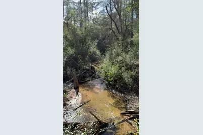 000 Native Creek Road, Milton, FL 32571 - Photo 8