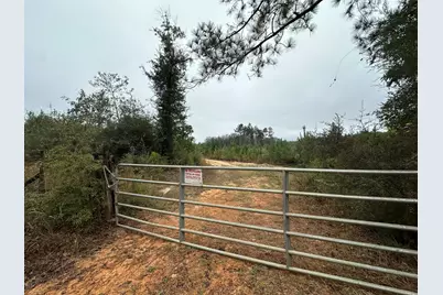 Parcel D1 Millside, Laurel Hill, FL 32567 - Photo 8