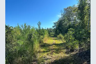 Parcel D1 Millside, Laurel Hill, FL 32567 - Photo 1