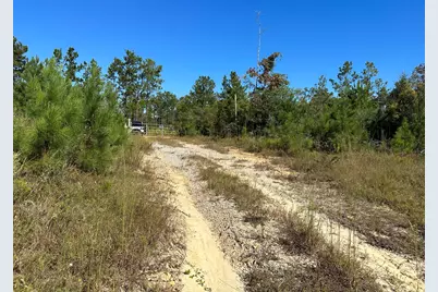 Parcel D2 Millside Road, Laurel Hill, FL 32567 - Photo 1