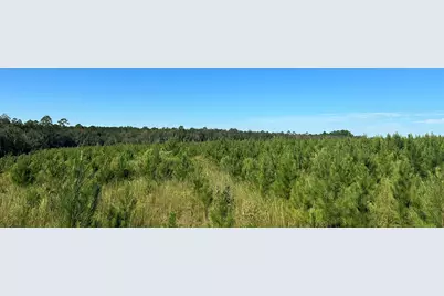 Parcel D2 Millside Road, Laurel Hill, FL 32567 - Photo 8