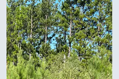 Parcel D2 Millside Road, Laurel Hill, FL 32567 - Photo 4