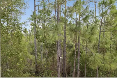 260 Sugar Sands Drive, Santa Rosa Beach, FL 32459 - Photo 54