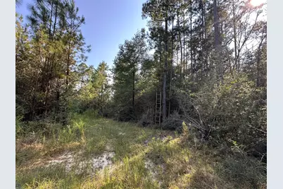 A, B, & C New Ebenezer Road, Laurel Hill, FL 32567 - Photo 4