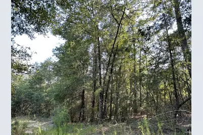 A, B, & C New Ebenezer Road, Laurel Hill, FL 32567 - Photo 6