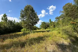 A B & C New Ebenezer Rd, Laurel Hill, FL 32567 - Photo 1