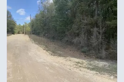 163 Tim Boland Road, Defuniak Springs, FL 32435 - Photo 4