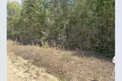 163 Tim Boland Road, Defuniak Springs, FL 32435 - Photo 2