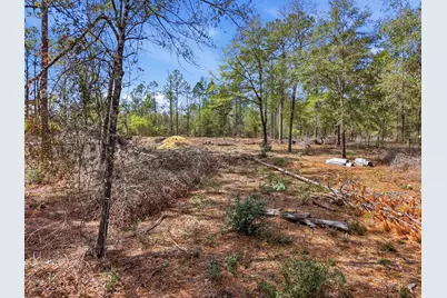 Tbd Clearwater Drive #LOTS 50 & 51, Defuniak Springs, FL 32433 - Photo 2