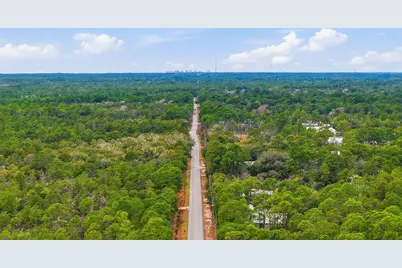 26 E Wild Blueberry Way #Lot 26, Point Washington, FL 32459 - Photo 6