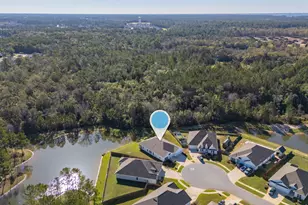 48 Hammock Cir, Freeport, FL 32439 - Photo 44
