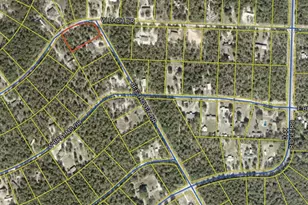 Lot 13 Juniper Lake Estates, Defuniak Springs, FL 32433 - Photo 2