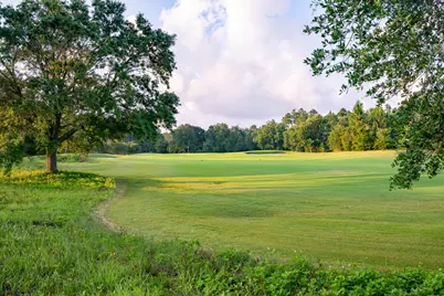 78 Hutton Cove #Lot 55, Watersound, FL 32461 - Photo 12
