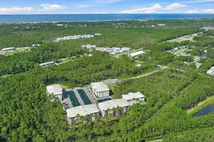 179 S County Hwy 393, Santa Rosa Beach, FL 32459 - Photo 40