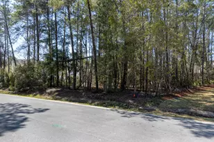 Lot 27 J Hunter S Way, Freeport, FL 32439 - Photo 4