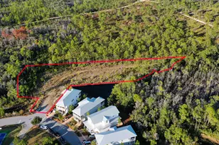 398 Flatwoods Forest Loop, Santa Rosa Beach, FL 32459 - Photo 1