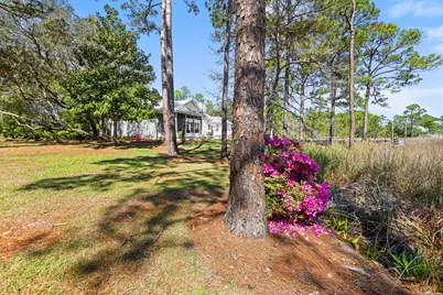 252 Pisces Drive, Santa Rosa Beach, FL 32459 - Photo 54
