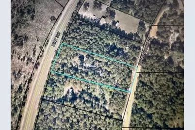 5473 Highway 393, Crestview, FL 32539 - Photo 2