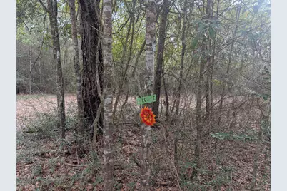 Lot 9 Plantation Lane, Defuniak Springs, FL 32433 - Photo 8