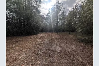 Lot 9 Plantation Lane, Defuniak Springs, FL 32433 - Photo 10