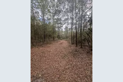Lot 9 Plantation Lane, Defuniak Springs, FL 32433 - Photo 12