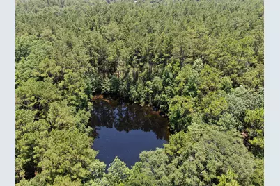 5207 S US Highway 331, Defuniak Springs, FL 32435 - Photo 6