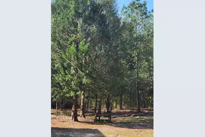 2782 Highway 81, Ponce de Leon, FL 32455 - Photo 4
