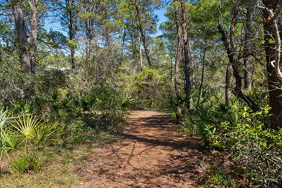 Lot 3 Blk4 W Cedar Bend Rd, Santa Rosa Beach, FL 32459 - Photo 22