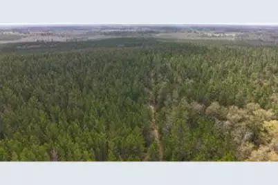 Tract#6418 Mattox Springs, Caryville, FL 32427 - Photo 2
