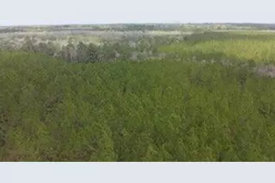 Tract#6418 Mattox Springs, Caryville, FL 32427 - Photo 4