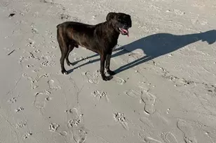 [Address not provided], Port Saint Joe, FL 32456 - Photo 10