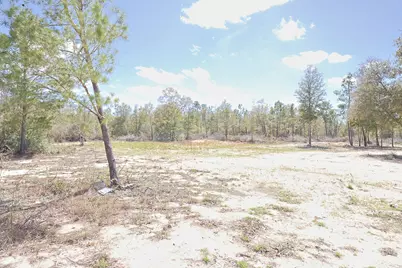 Tbd N Silver Lake Road, Fountain, FL 32438 - Photo 8