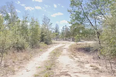 Tbd N Silver Lake Road, Fountain, FL 32438 - Photo 6
