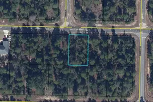 Lot 16 Elmore St, Chipley, FL 32428 - Photo 1
