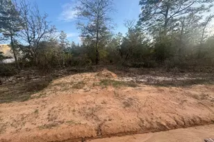 Xxx Juniper Ave, Defuniak Springs, FL 32433 - Photo 1