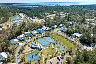 186 Hibernate Way, Freeport, FL 32439 - Photo 46