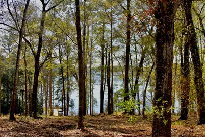 15 Holly Lake Court, Defuniak Springs, FL 32433 - Photo 22