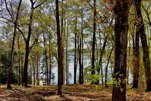 15 Holly Lake Ct, Defuniak Springs, FL 32433 - Photo 22