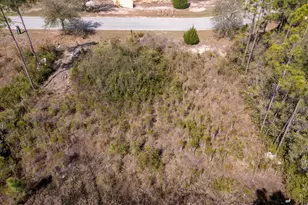 155 Shallow Reed, Port Saint Joe, FL 32456 - Photo 10
