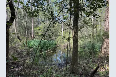 190 Meadowbrook Lane, Defuniak Springs, FL 32435 - Photo 66