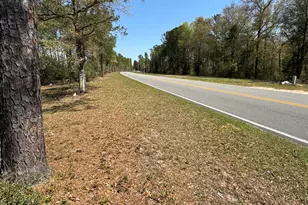 486 Pleasant Ridge Rd, Defuniak Springs, FL 32435 - Photo 14